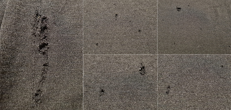 Holes caused by moths in a merino wool undershirt